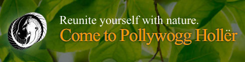 Come to Pollywogg Hollër